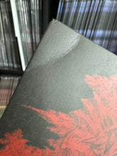 Load image into Gallery viewer, Blemished Vinyl (25% OFF OR MORE)