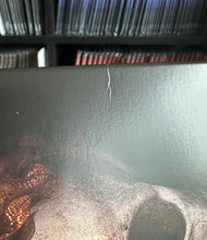 Load image into Gallery viewer, Blemished Vinyl (25% OFF OR MORE)