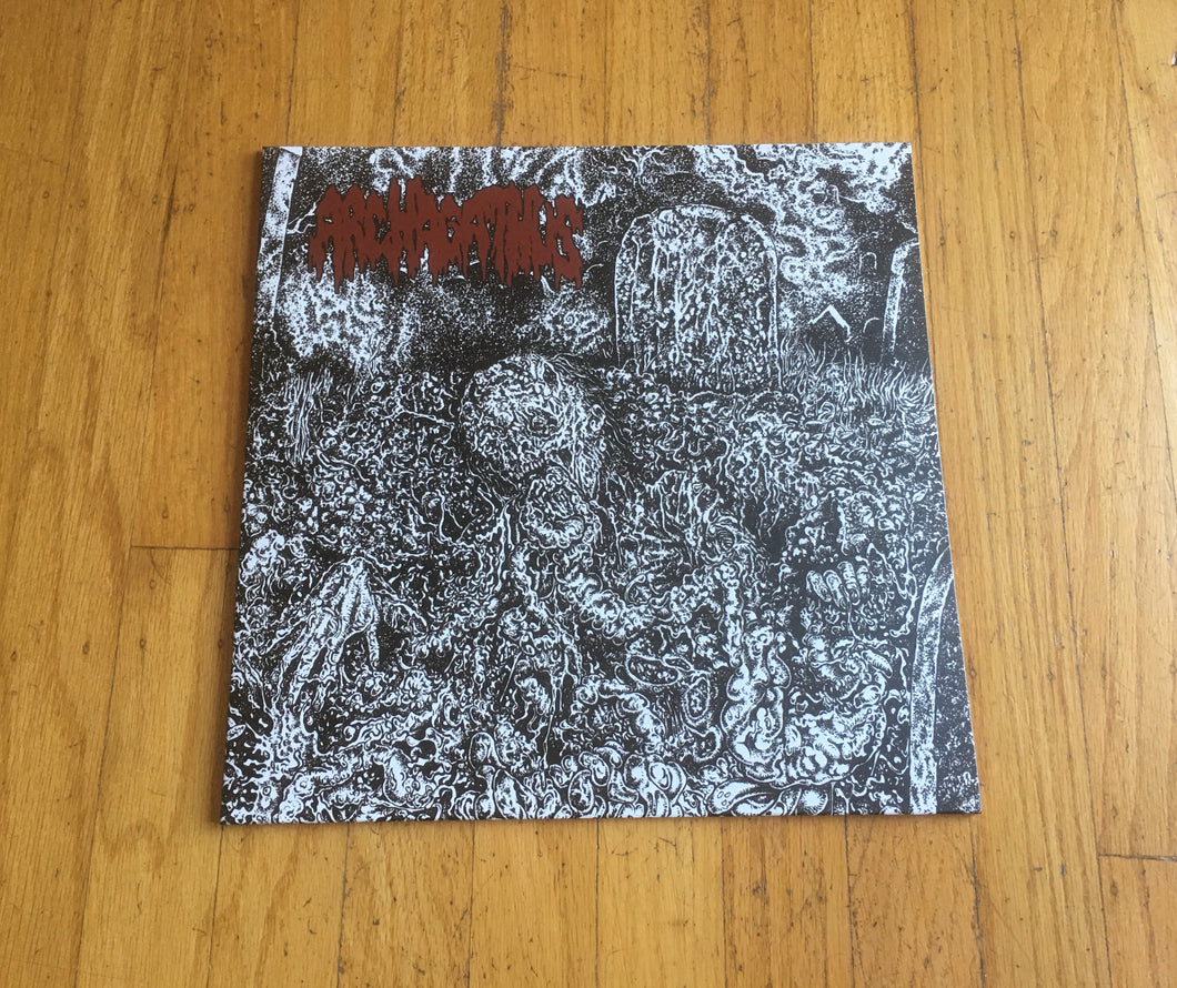 Archagathus / Meat Spreader Split LP