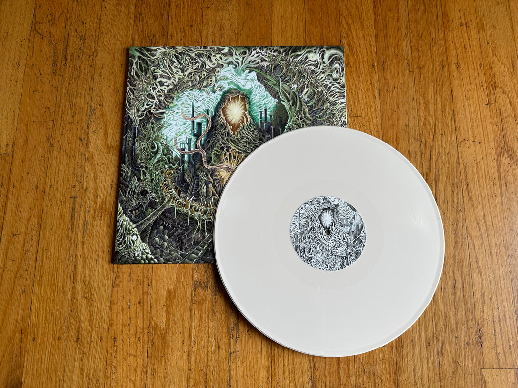 Claustrum - 