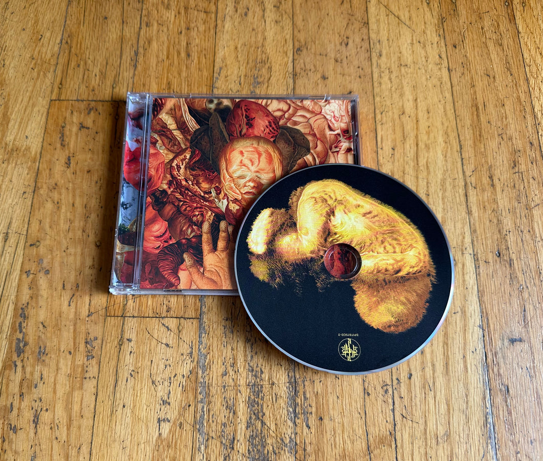 Festerdecay - Reality Rotten to the Core CD