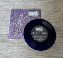 Load image into Gallery viewer, Human Corpse Abuse / Mortify Split 7" (Extremely Rotten)
